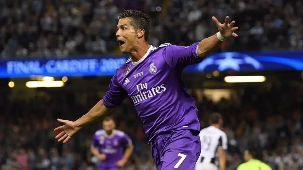 养的启示 养的启示